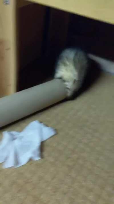 They grow up so fast 🥲