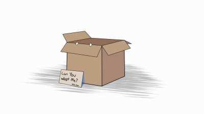 Would you adopt a cat shark?