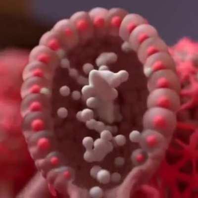 How breastfeeding works