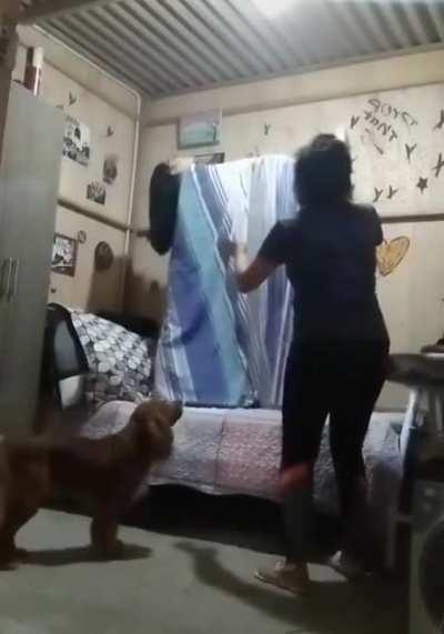 Вызывайте экзорциста