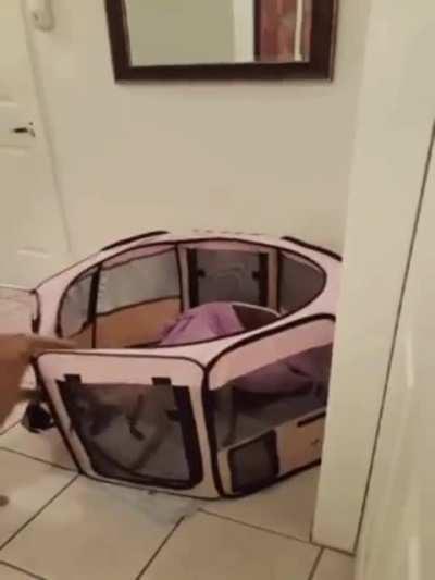 I’m breaking you out buddy let’s go!