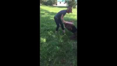 A short but okay bully beatdown