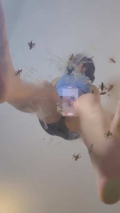 Private crush collection of over 300 instagram crushers for sale