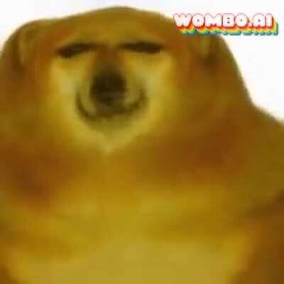 POV: you are at cheems’ concert on a Saturday night.