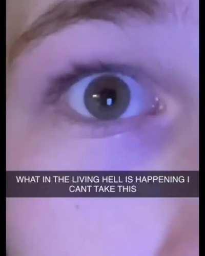 cursed_laugh (from r/perfectlycutscreams)