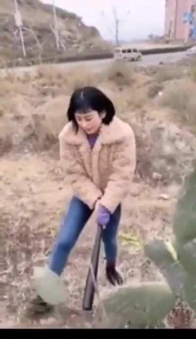 HMC - needles edition