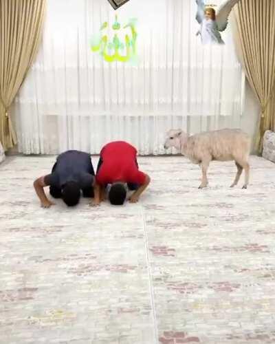 oha hz ibrahimle hz ismailin videosu çıkmış sübanallah 🙏🤲