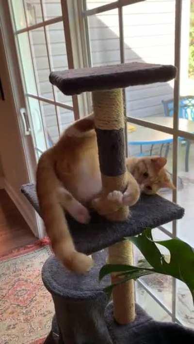 I don’t know what he’s trying to do, but he sure is trying to do it.