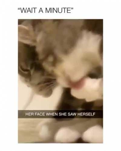 Hey Wait a Minute....