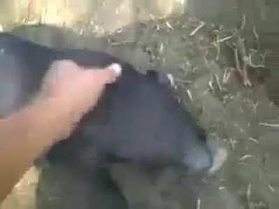 tranquilos,todo esta bien 😎👌