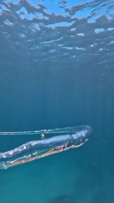 physics of a ring and water ring underwater