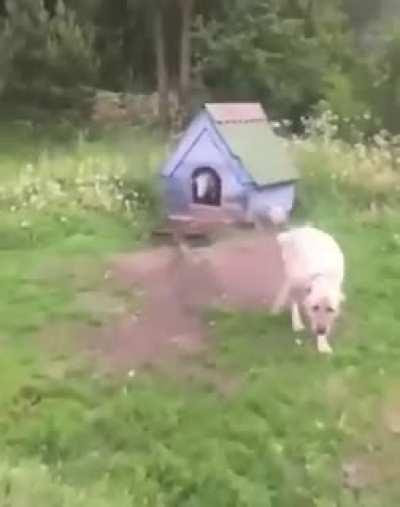 No, no, no. I-it's not what it looks like