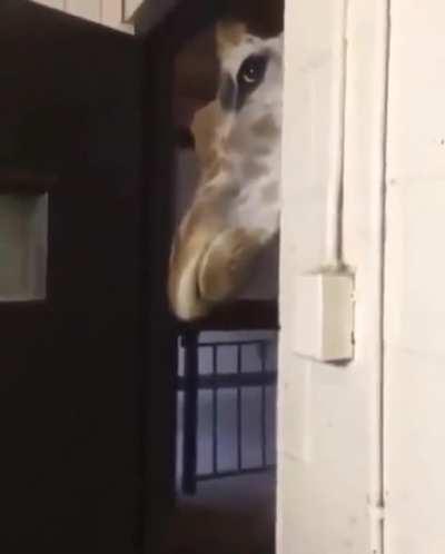 This is some scary shit