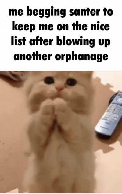 catvent calendar day 18