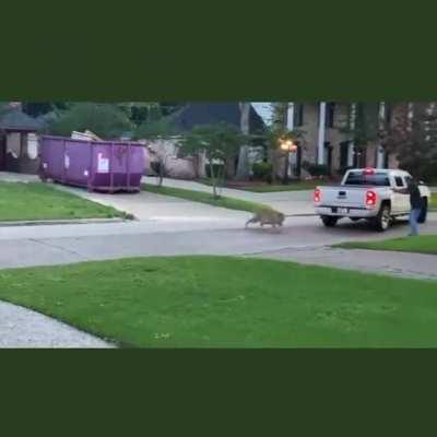 Michael Rapaport's hood having a bad day