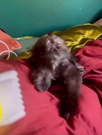 Dillinger Escape Plan-43% Burnt