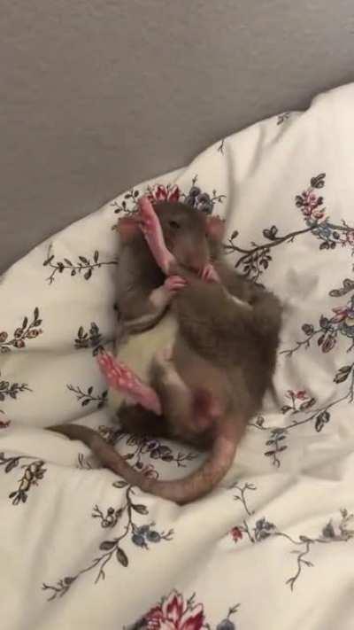 gotta clean the feets