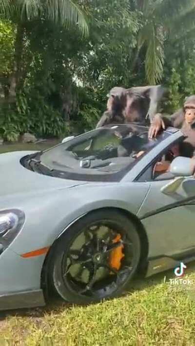 Orslock y Abby al mudarse a Andorra