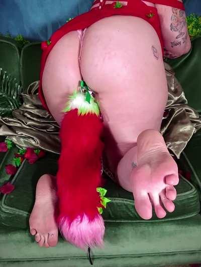 I'm in heat again, ugh