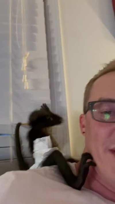 Обезьянкин