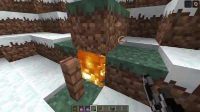 Firefly or something, idk I'm not good at biology