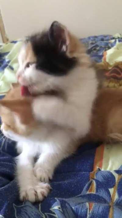 From love to hate one step 😅