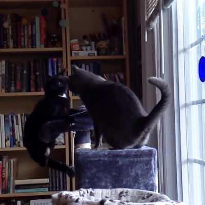 just some brotherly love