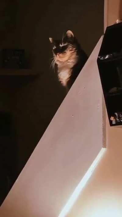 He’s plotting something. I just know it.