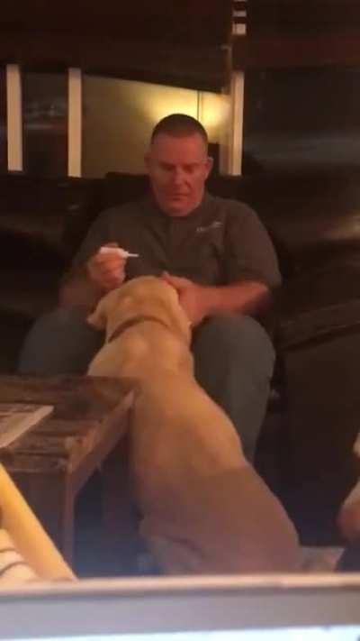 doggo takes ear medicine she needs and the other doggo thought he needed it too.