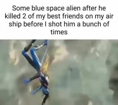 does anyone remember anything from avatar ??