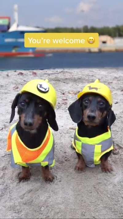 Saving the world economy together