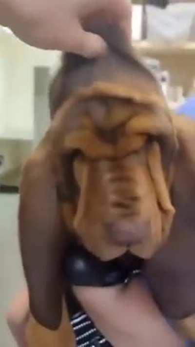 A little help clearing his vision