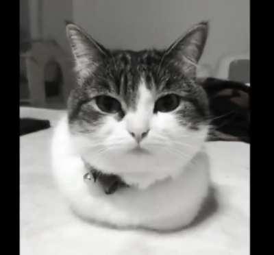 wawa is awesome 🔥🔥🔥🔥