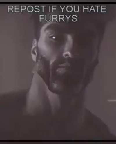 fuck furries