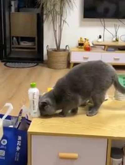 He helps me pack food bags.