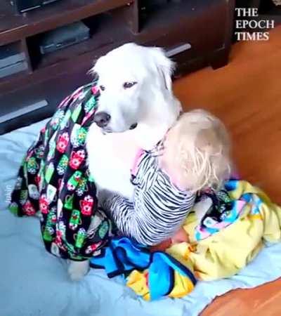 So much patience, so much love here