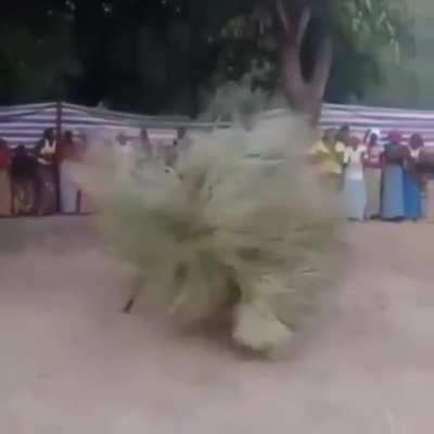 Thanks, I hate the Zangbeto