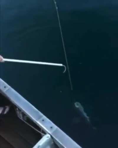 Thanks I hate fishing