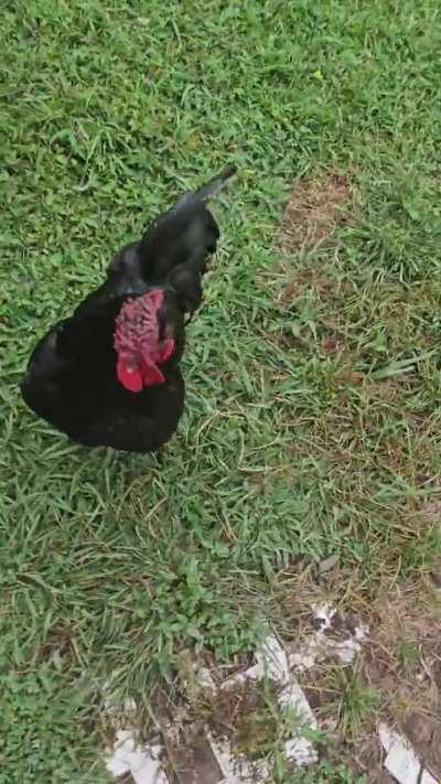 me giving my little guy a cracker