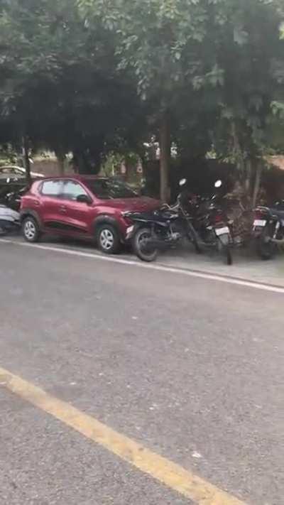 Sunday Morning (sound - on)