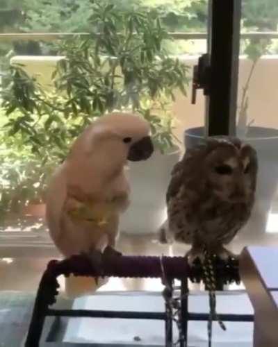 Leave me alone Dude!