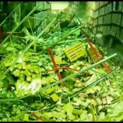 Someone will be fired.