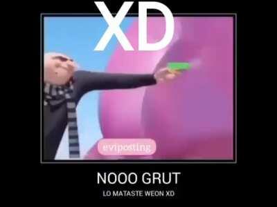 no gru que hiciste xdd