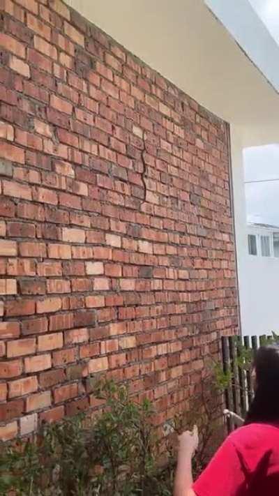 Chased a tree snake away today. That's my wife. I hid behind the door.