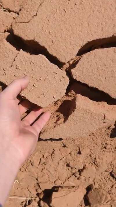 Taking the Dudes to Utah