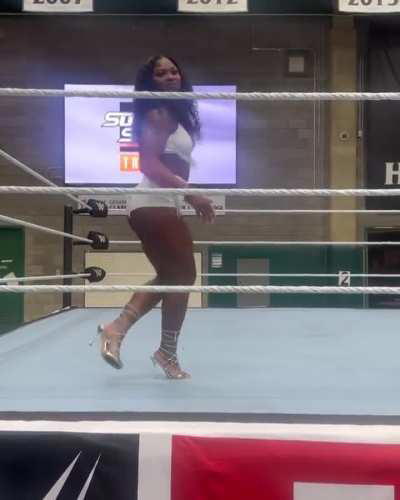 So I had a WWE TRYOUT!!