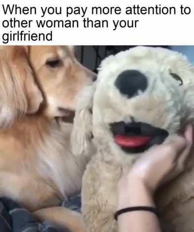 Glad it was just a stuffed doggo