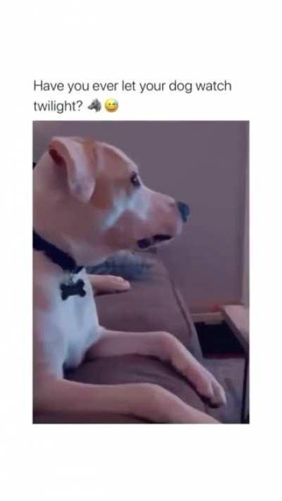 you knowits serious when he doesn't care about the toy