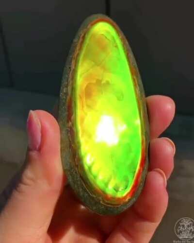 Beautiful colour morphing Ammolite