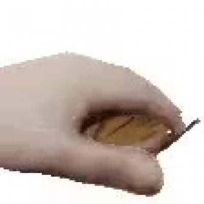 [no spoilers] pet the heimer